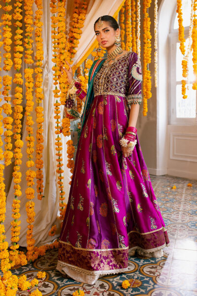 Shehzana Kalidar - Image 7