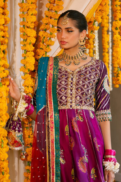 Shehzana Kalidar - Image 5