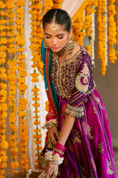 Shehzana Kalidar - Image 6