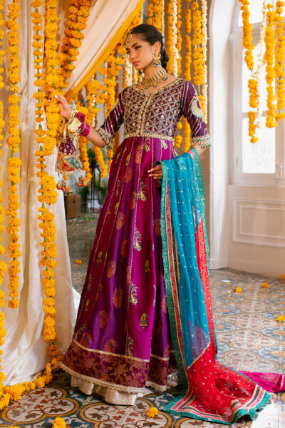 Shehzana Kalidar - Image 8