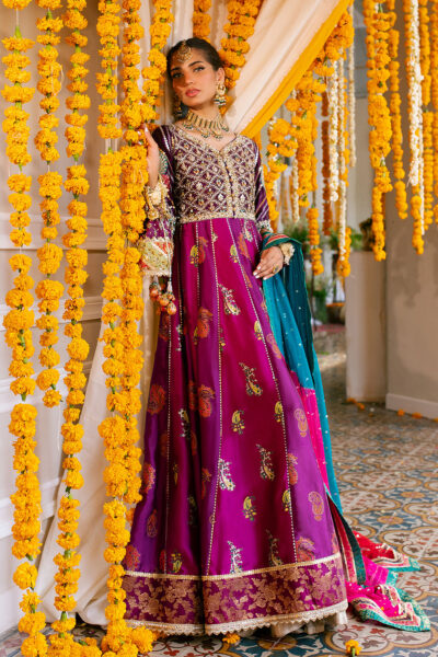Shehzana Kalidar - Image 2
