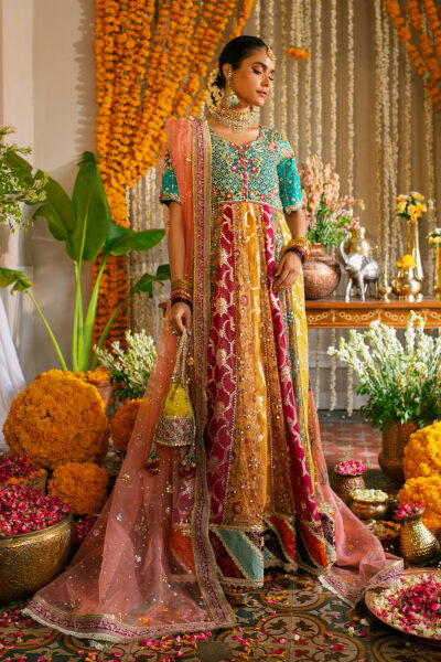 Anshara Kalidar - Image 12