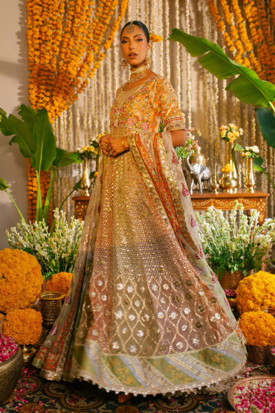 Rozmina Kalidar - Image 9