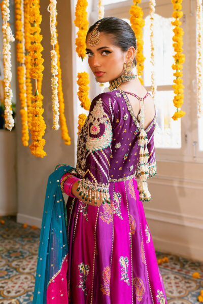 Shehzana Kalidar - Image 3