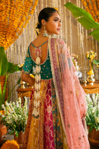 Anshara Kalidar - Image 4