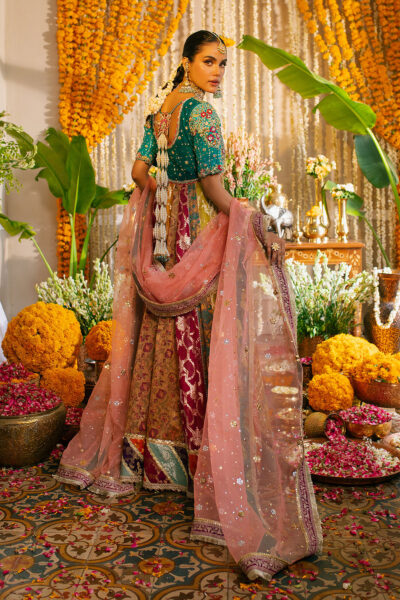 Anshara Kalidar - Image 5