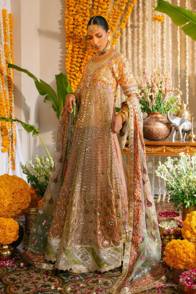 Rozmina Kalidar - Image 2