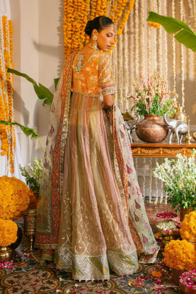 Rozmina Kalidar - Image 3