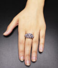 The Regal Fence Ring