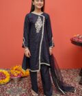 Cotton Embroidered 3 Piece Suit | 8425