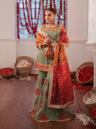 Abeer - Image 5