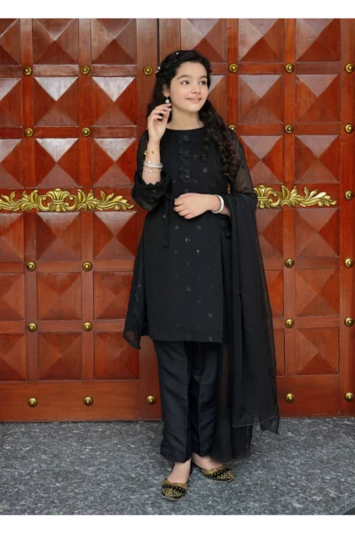 Black Embroidered Chiffon