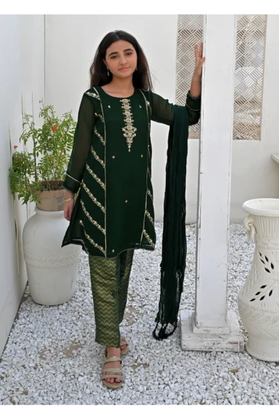 Green Chiffon Stitched 3Pc - Image 5