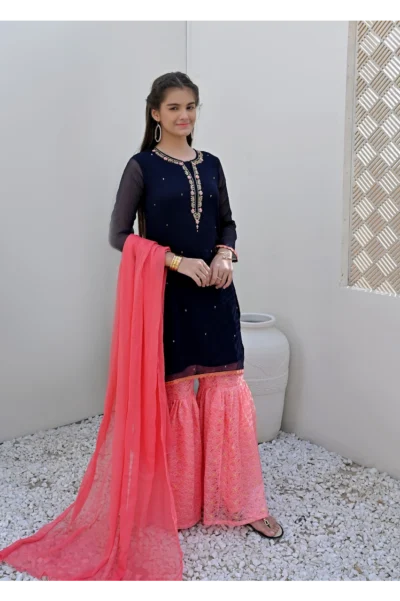 Navy Blue Chiffon 3Pc - Image 4