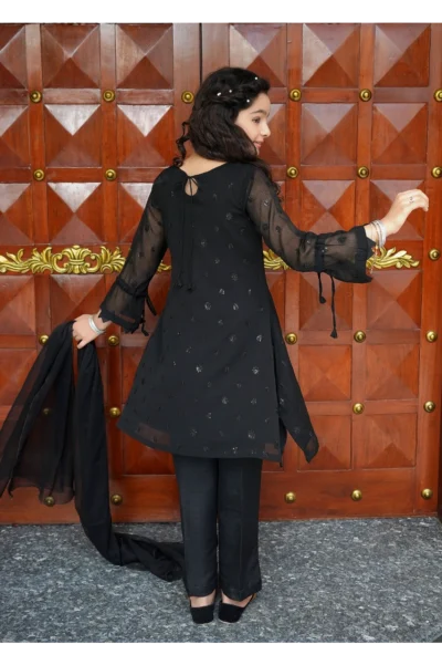 Black Embroidered Chiffon - Image 5