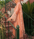 Peach Dandelion - Image 5