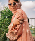 Peach Dandelion - Image 3