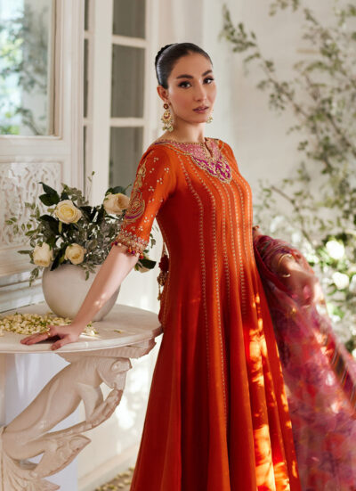 Kusum Burnt Orange Kalidaar and Dupatta - Image 6