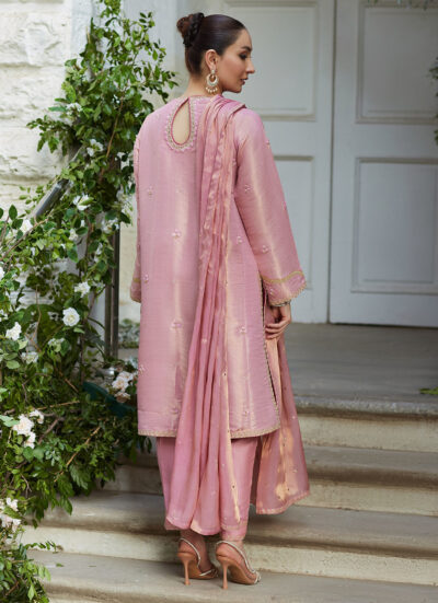 Cisel Pink Shirt and Dupatta - Image 4
