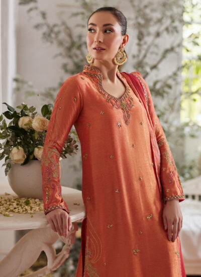 Ceren Coral Shirt and Dupatta - Image 4