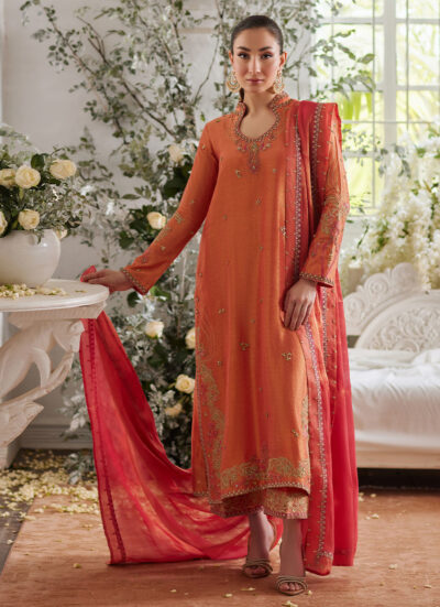 Ceren Coral Shirt and Dupatta - Image 3