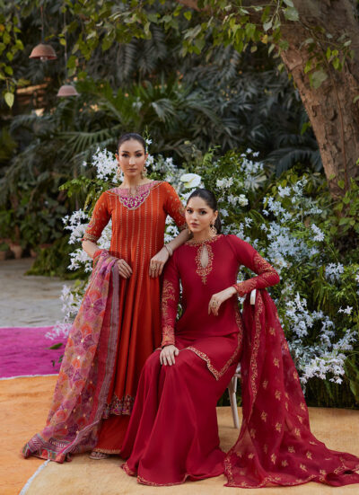 Guzayn Scarlett Shirt and Dupatta - Image 3