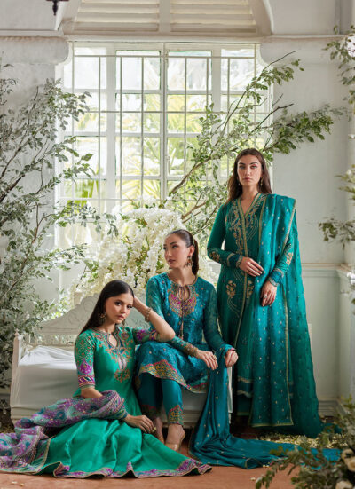 Ilyana Sea Green Kalidaar - Image 5