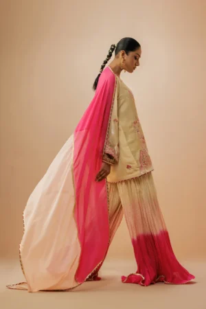 Sahar Velvet Ensemble