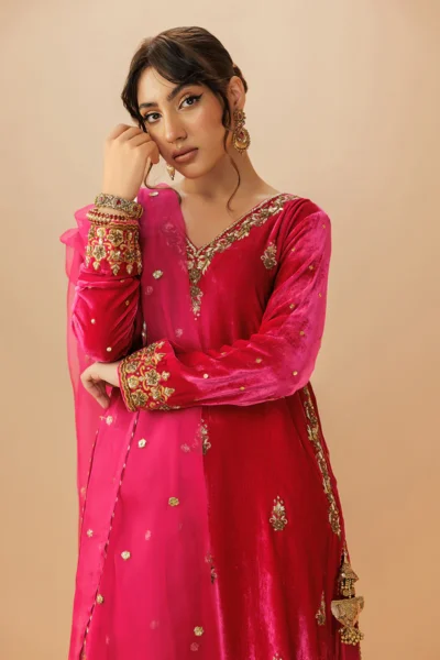 Gulnaz Velvet Ensemble - Image 4