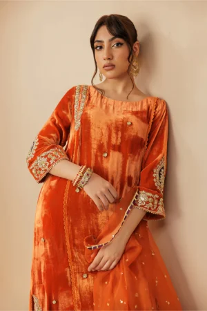 Noor Velvet Ensemble