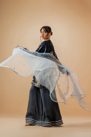 Zarmeen Velvet Ensemble