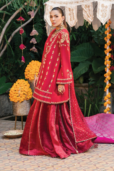 Aaisha - Image 6