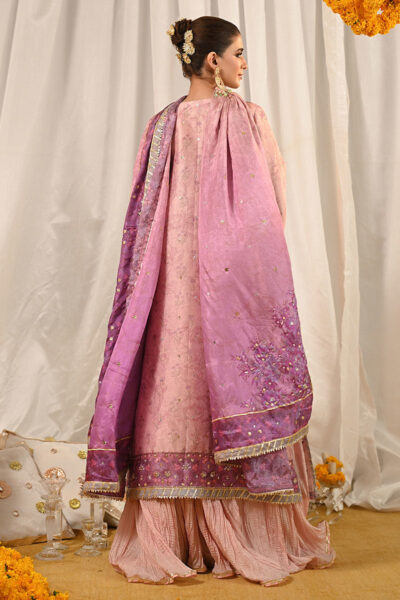 Momina - Image 4