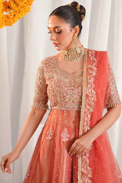 Shahnoor - Image 5