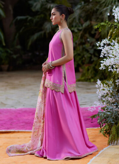 Nihal Rani Pink Shirt and Dupatta - Image 5