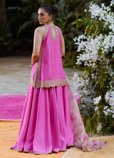Nihal Rani Pink Shirt and Dupatta - Image 4