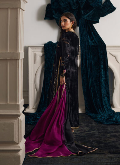 Anemos Shirt And Dupatta - Image 2