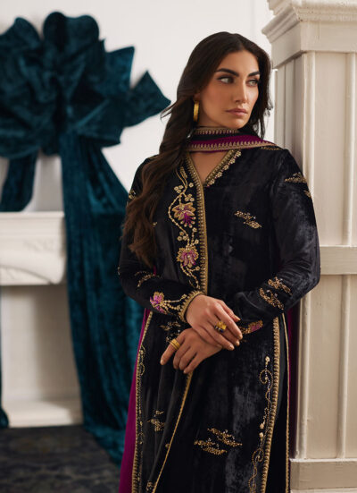Anemos Shirt And Dupatta - Image 3