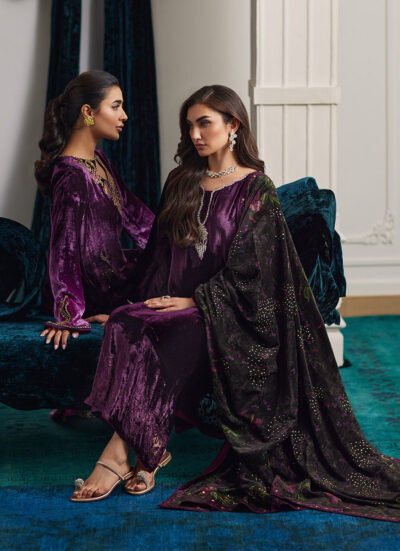 Nia Ombre Velvet Kaftan - Image 11