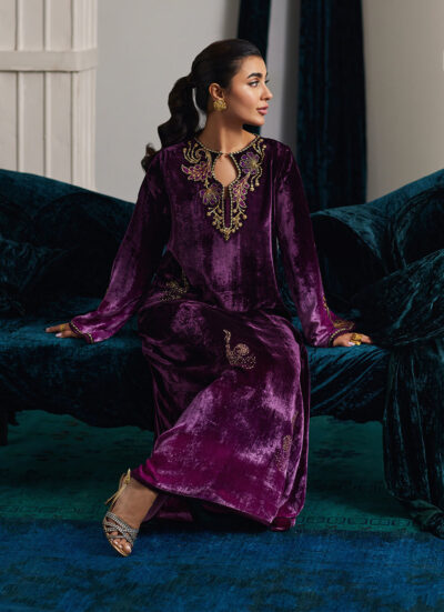 Nia Ombre Velvet Kaftan - Image 7