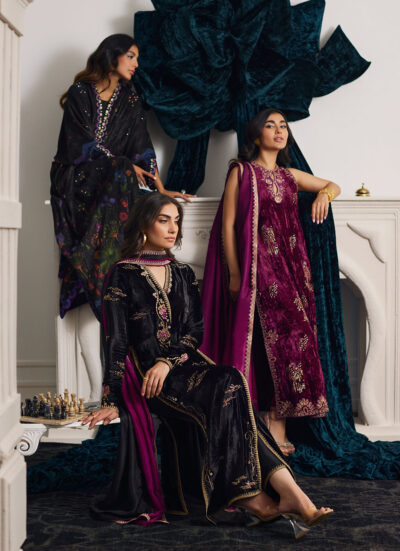 Anemos Shirt And Dupatta - Image 9