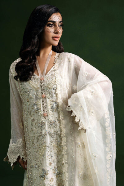 White Canvas - Image 4
