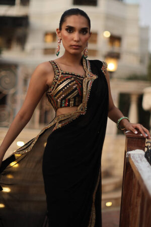 The Ethnic Sari