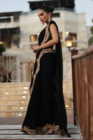 The Ethnic Sari