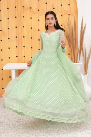 Long anarkali suits online shopping best sale