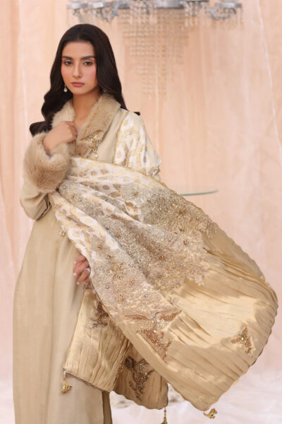 The Duchess - Shawl - Image 4