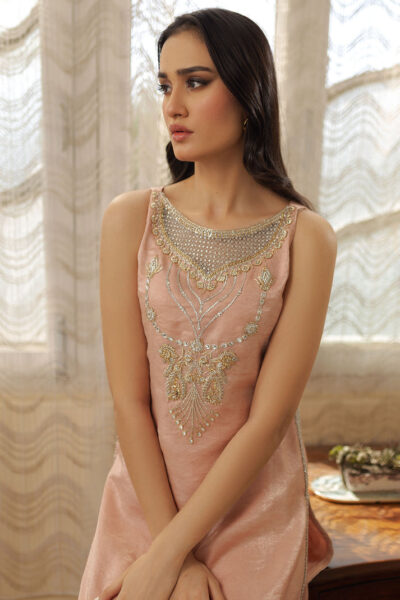Roshni - Image 5