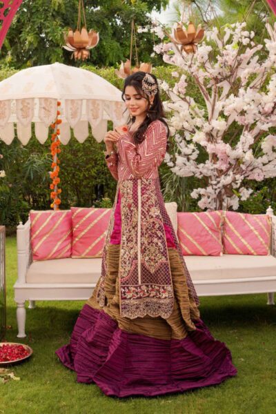Dhanak - Image 3