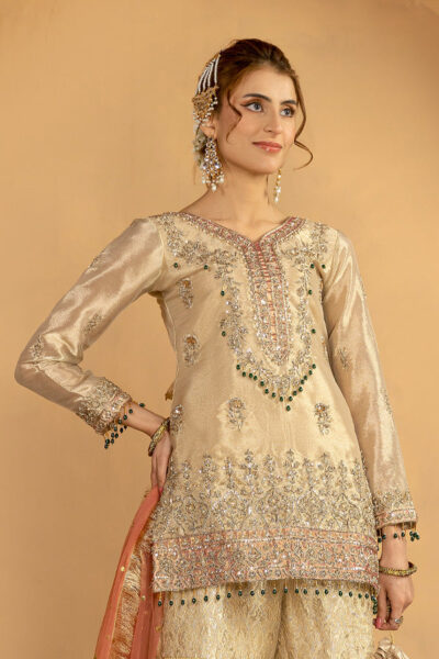 Esraj - Image 6
