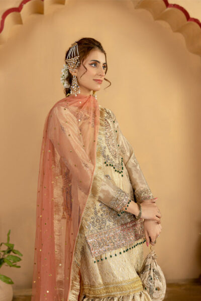 Esraj - Image 5